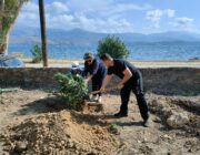 «Δενδροφύτευση στον «ΥΠΕΡΙΩΝ».