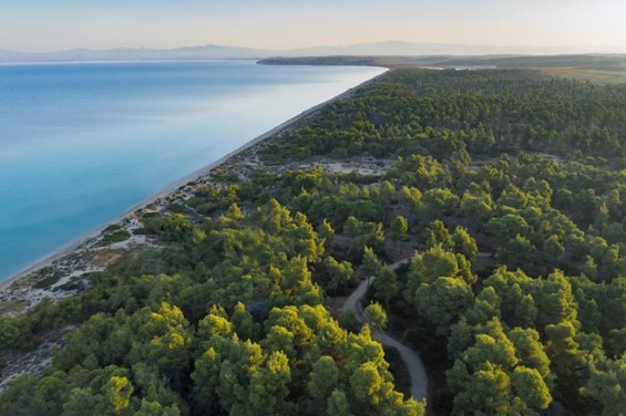 Ο Όμιλος Sani/Ikos ανοίγει τον δρόμο για τον βιώσιμο τουρισμό στη Μεσόγειο