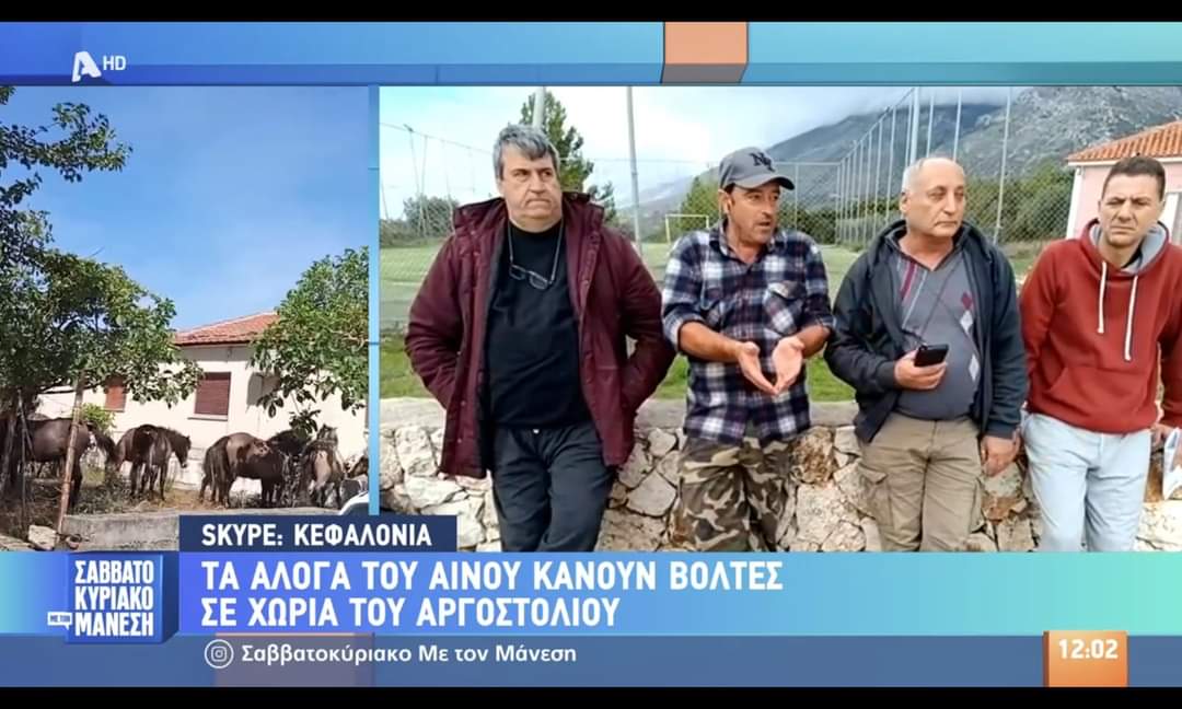 Τα προβλήματα με τα Άλογα του Αίνου στην εκπομπή του Νίκου Μάνεση! [βίντεο]