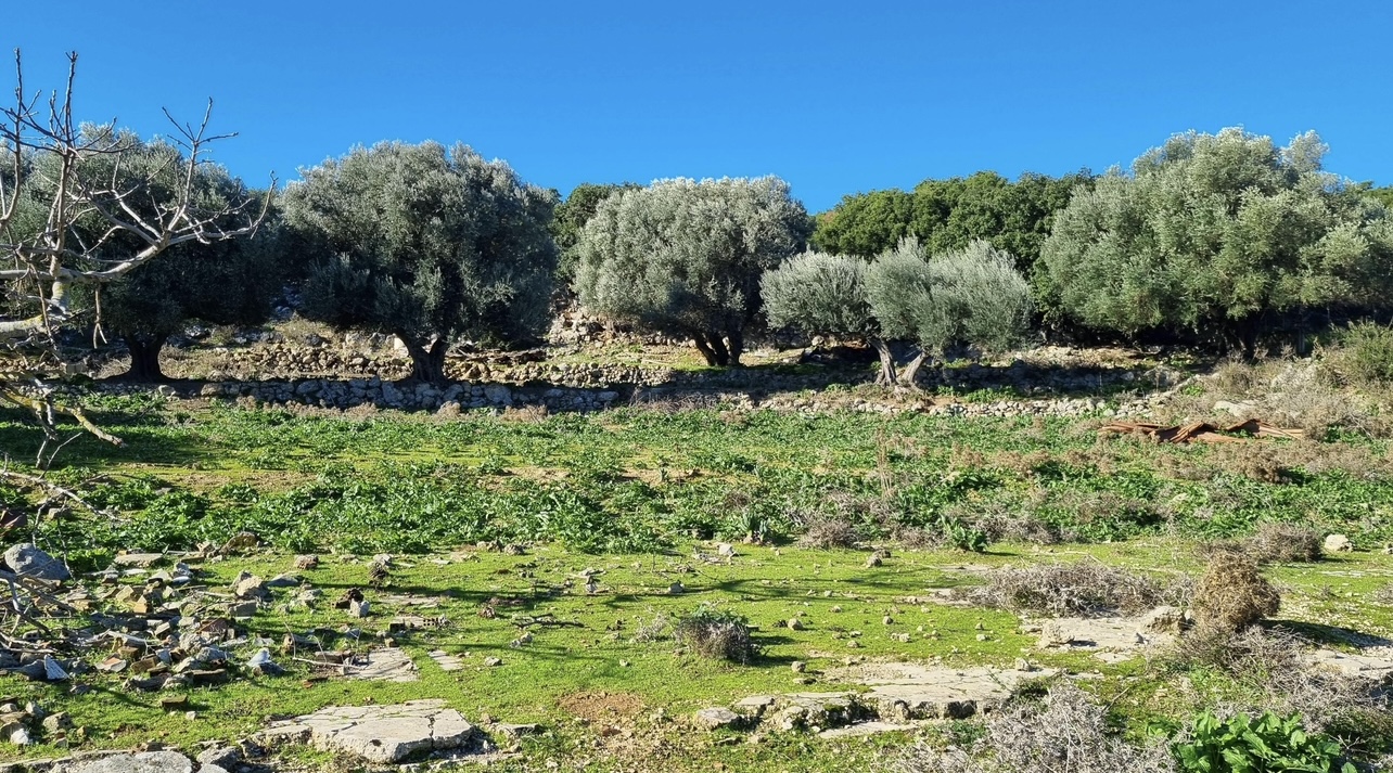 Γιώργος Μεσσάρης: Μετρώντας τις σταγόνες της βροχής