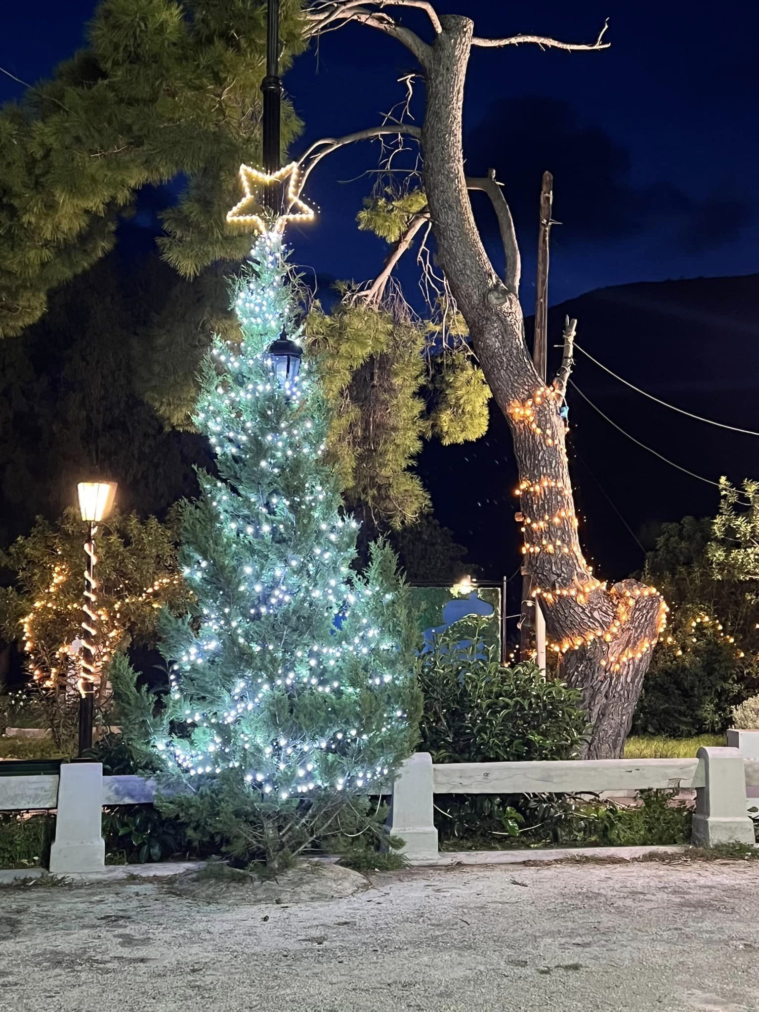 Όμορφες εικόνες από το άναμμα του Χριστουγεννιάτικου Δέντρου στον Σταυρό της Ιθάκης