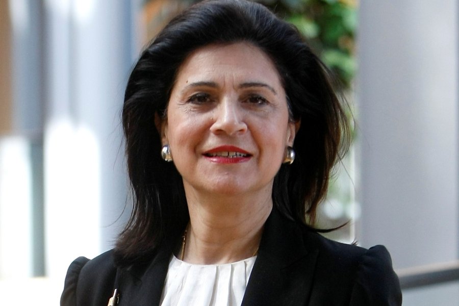 Ρόδη Κράτσα- Τσαγκαροπούλου: Η σημασία του Περιφερειακού Παρατηρητηρίου Κοινωνικής Ένταξης της Περιφέρειας Ιονίων Νήσων