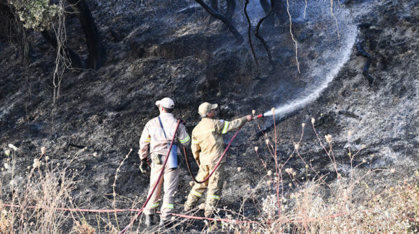 Λευκάδα: Περιορίστηκε η πυρκαγιά σε αγροτοδασική έκταση στο Αθάνι