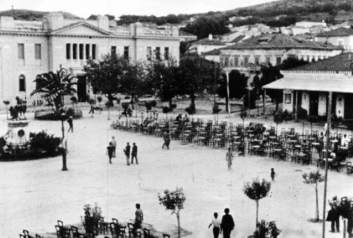 Από τον ευκάλυπτο του ΝΟΑ, στους κοκκοφοίνικες, στο σημερινό Αργοστόλι