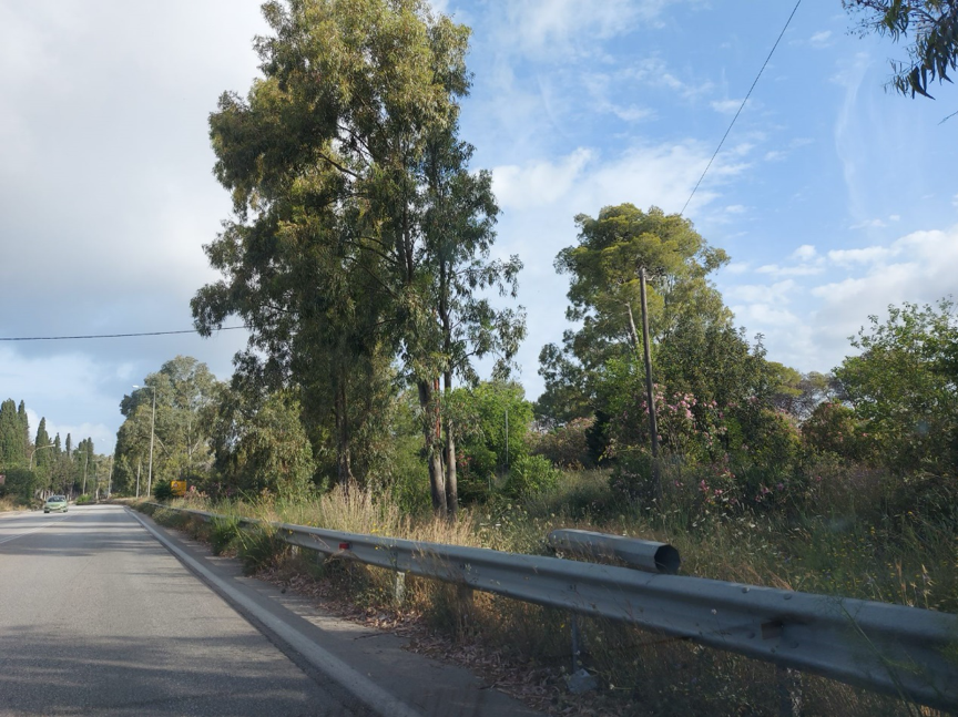 Έργα και μελέτες 8.000