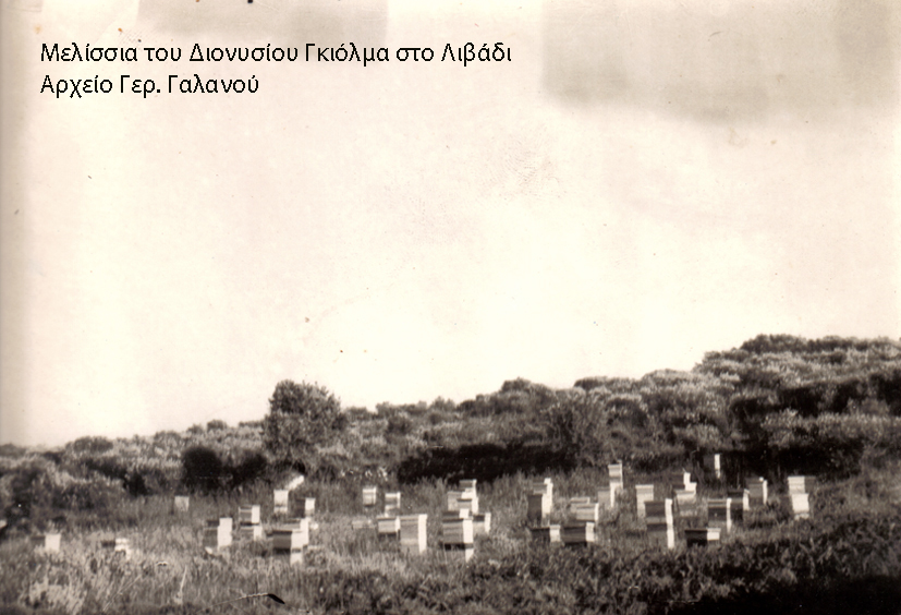 Μια μνήμη για τον σπουδαίο μελισσοκόμο Διονύση Γκιόλμα [εικόνες]