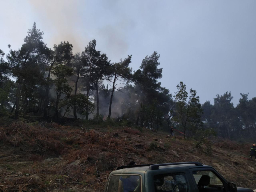 Υπό μερικό έλεγχο η πυρκαγιά στην Αγ. Μαρίνα Ζακύνθου