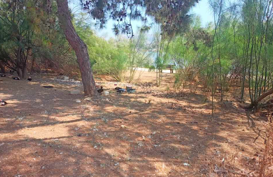 Eπανέρχεται ο Γιάννης Κοσμάτος: Για τη σωτηρία του Κουτάβου