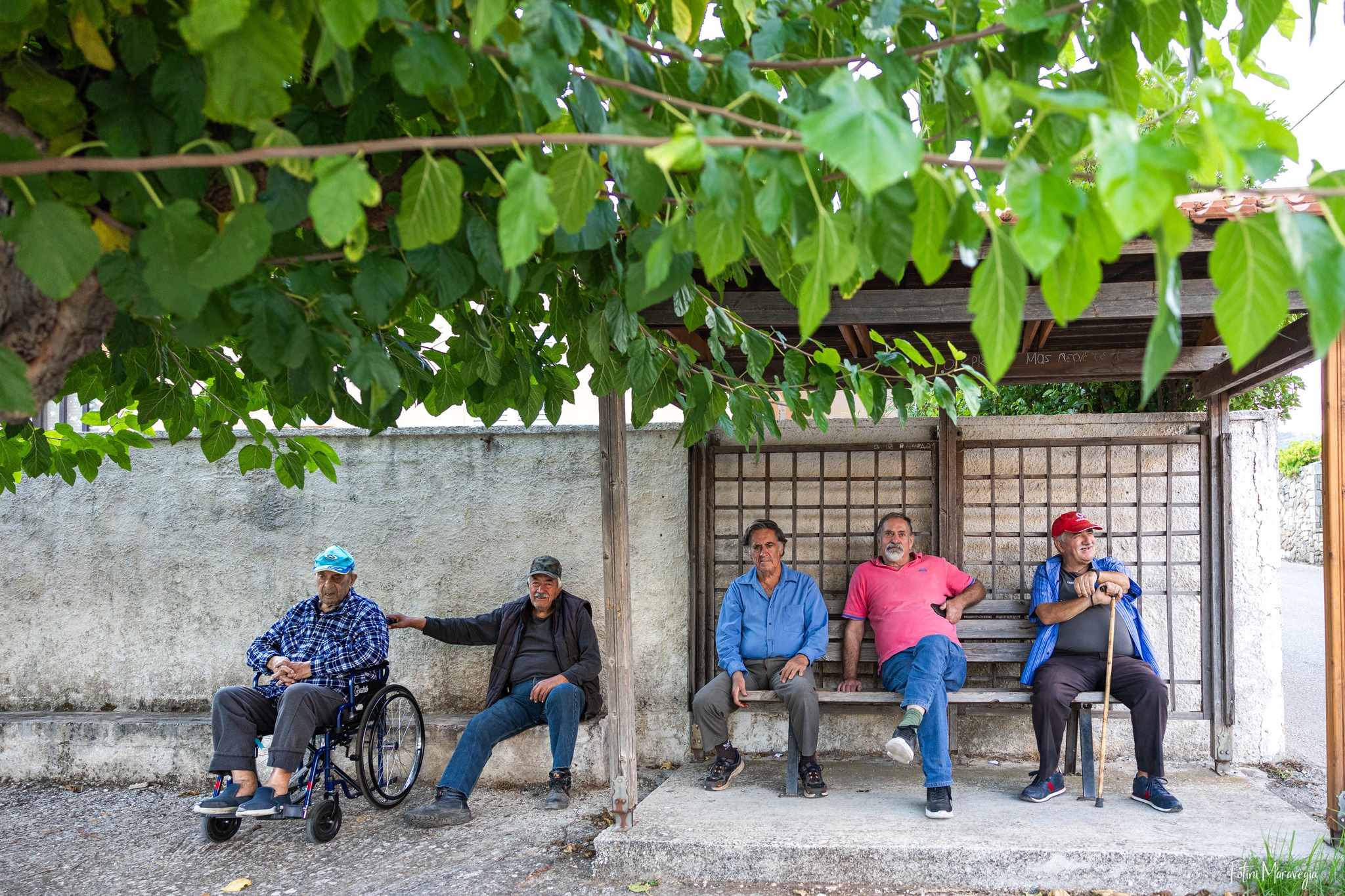 Έφτασε το φθινόπωρο: Η απογευματινή παρέα, κάτω από τις μουριές, στα Βαλσαμάτα!