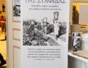 ΕΚΔΗΛΩΣΗ ΠΡΙΜΑΡΟΛΙΑ ΜΑΥΡΗ ΣΤΑΦΙΔΑ