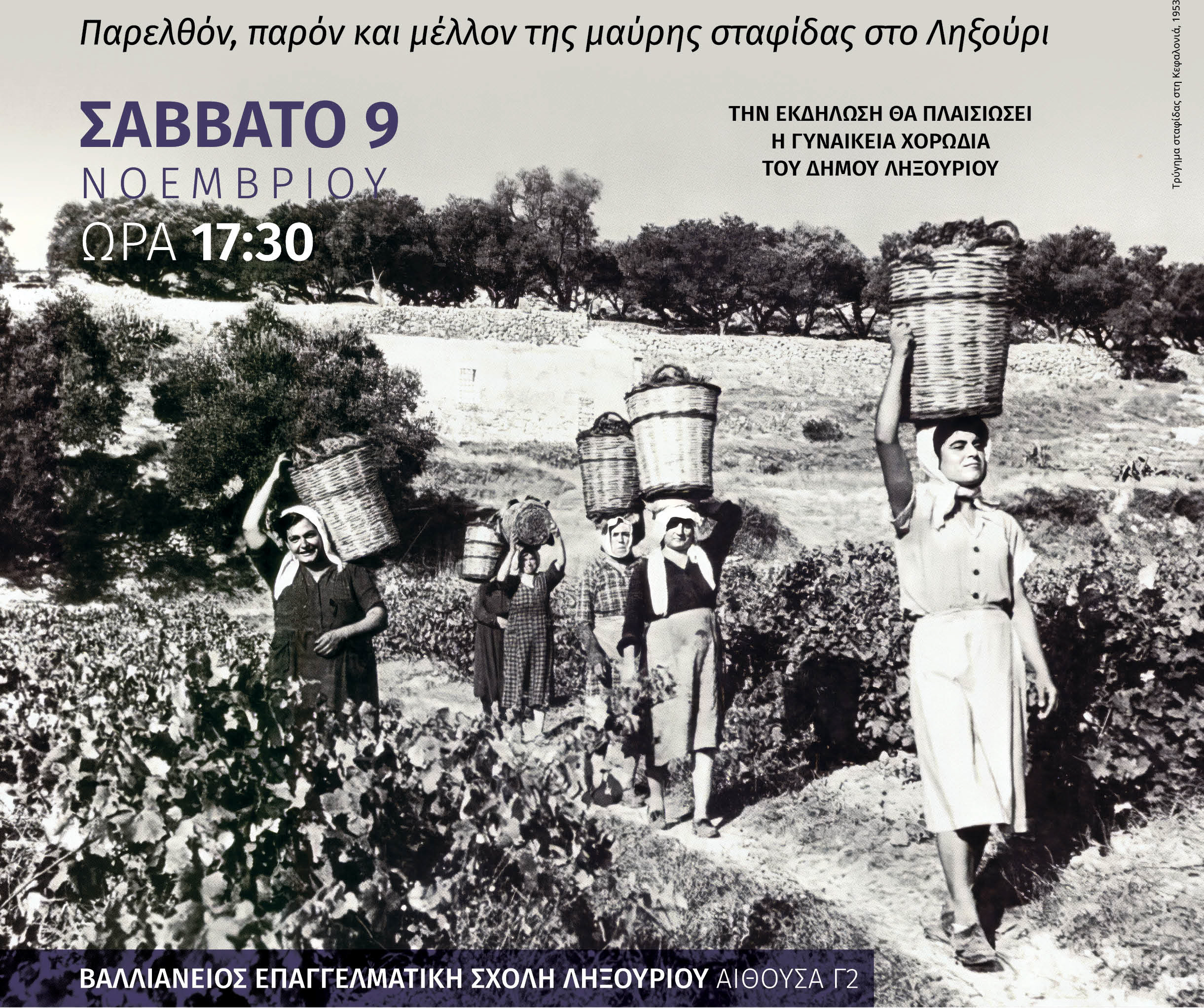 Παρελθόν, παρόν και μέλλον της μαύρης σταφίδας