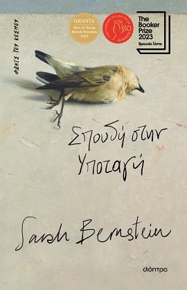 dioptra bernstein spoudi stin ypotagi