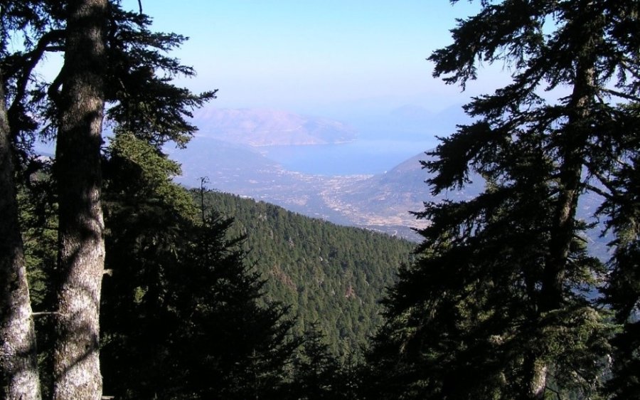 Μήνυμα του Ιδρύματος Κεφαλονιάς και Ιθάκης (ΙΚΙ)
