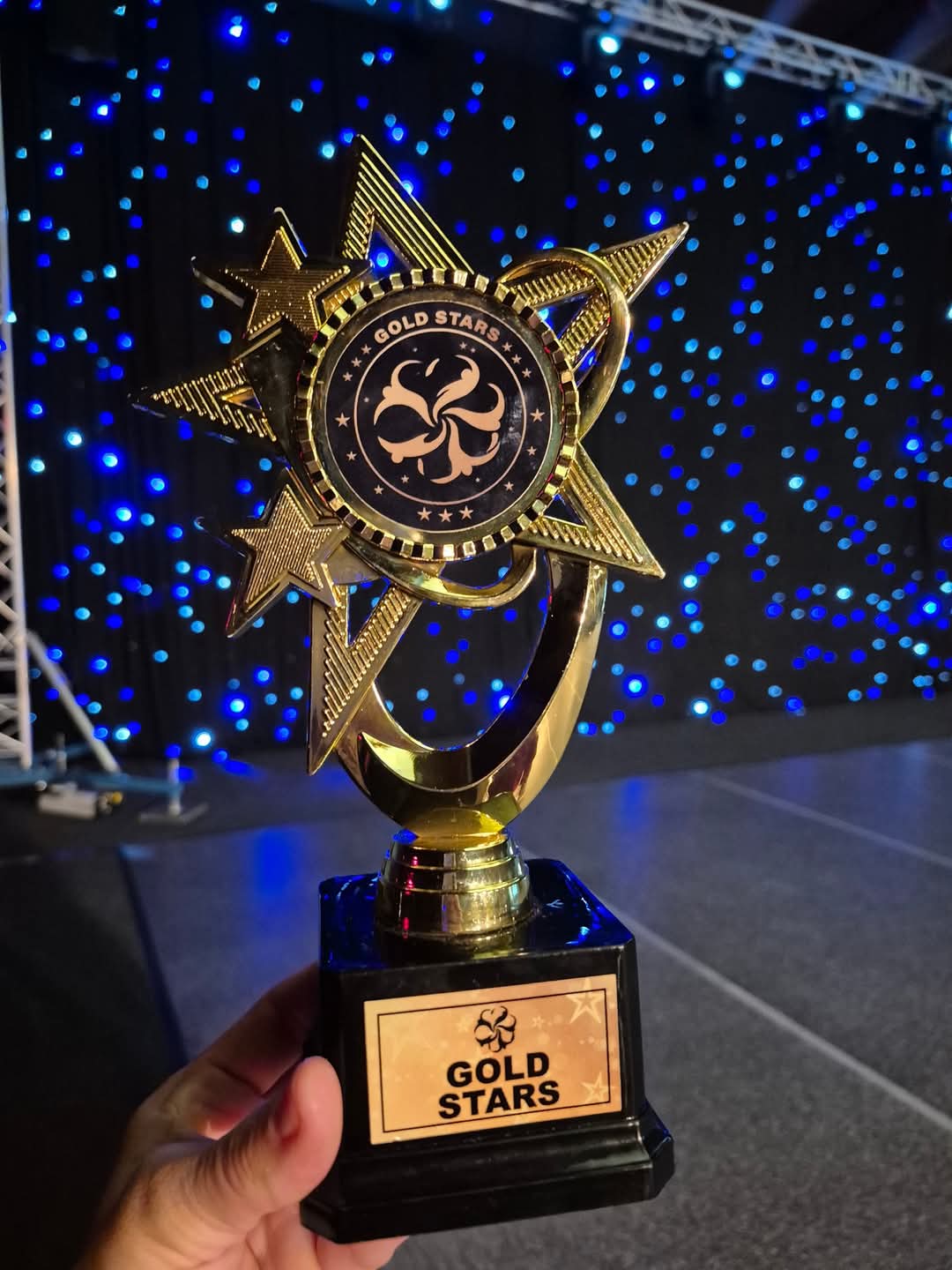 Διεθνής Αναγνώριση: Χρυσά Μετάλλια και Βραβεία για τη Σχολή της Όλγας Γαλιατσάτου [εικόνες]