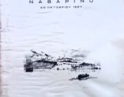 Η ΝΑΥΜΑΧΙΑ ΤΟΥ ΝΑΥΑΡΙΝΟΥ