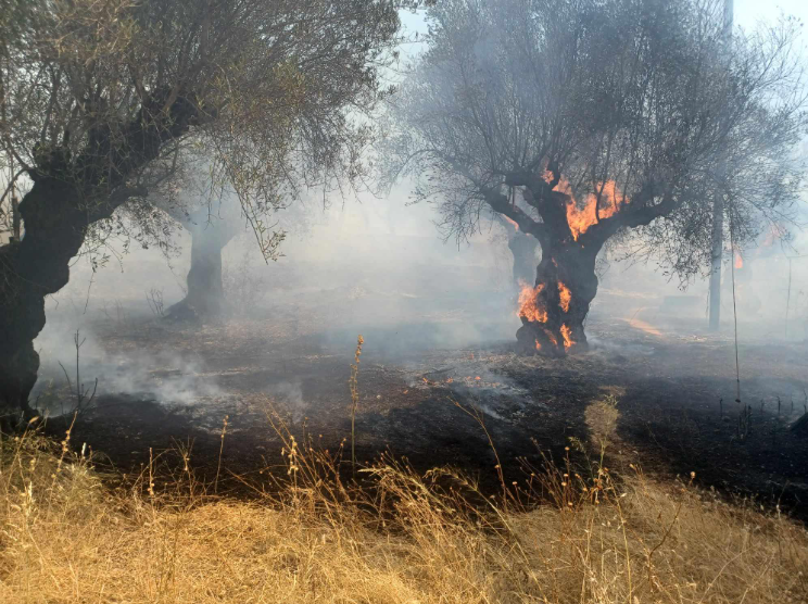 Πολιτική Προστασία: Απαγόρευση καύσης από 11 έως 18 Μαρτίου λόγω υψηλού κινδύνου πυρκαγιάς