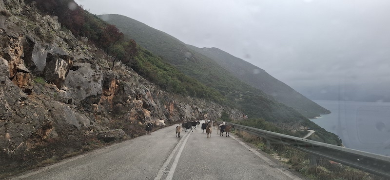 Σμαράγδα Σαρδελή: Θωρακίζεται ο ΕΟΔ Π.Ε