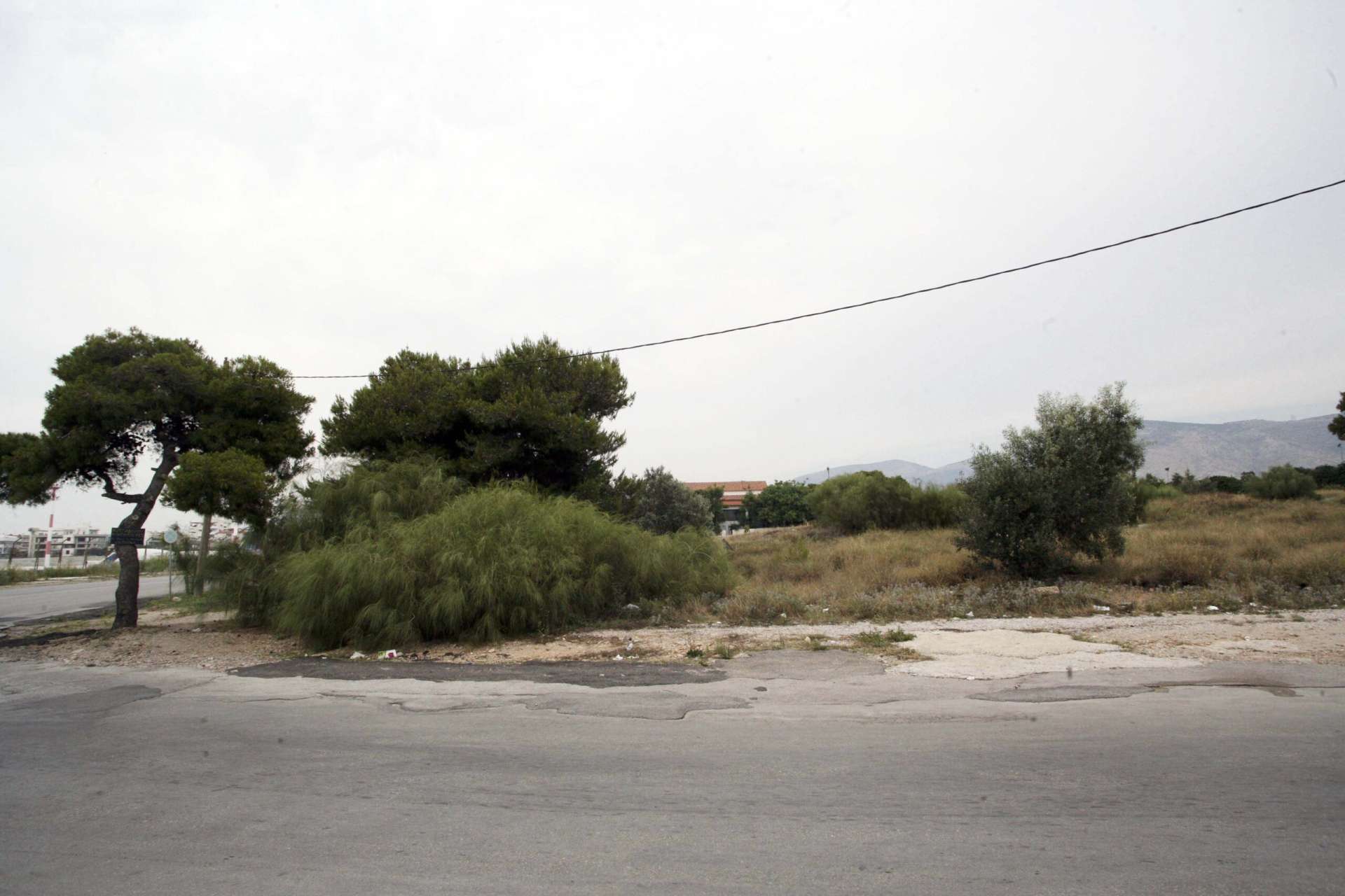 Υποχρεωτικός ο καθαρισμός των οικοπέδων λόγω της αντιπυρικής περιόδου – Ανοίγει την 1η Απριλίου η πλατφόρμα