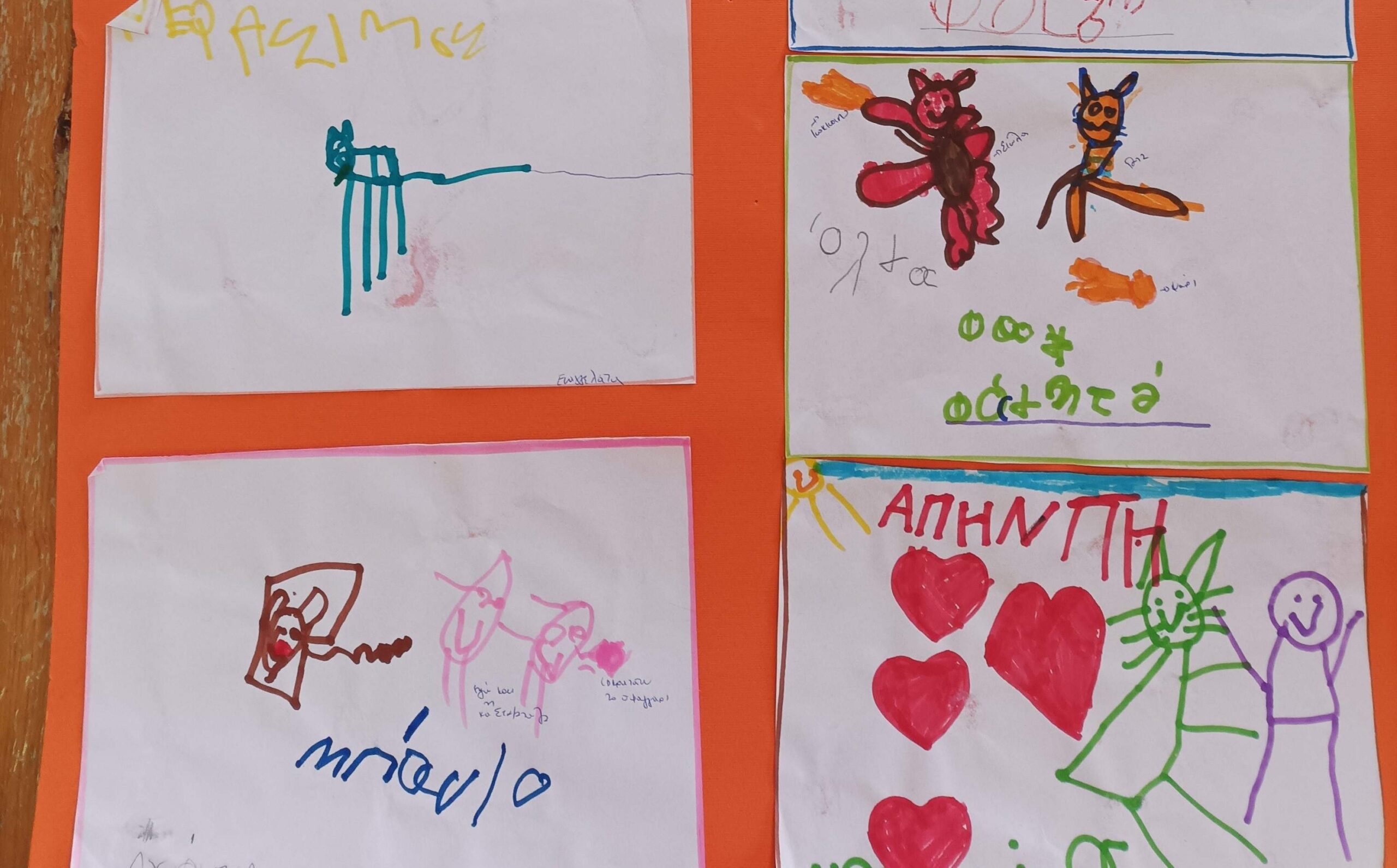 Με αφορμή την Παγκόσμια Ημέρα για τα αδέσποτα ο Δήμος Αργοστολίου διοργανώνει δράσεις ζωοφιλίας [εικόνες]