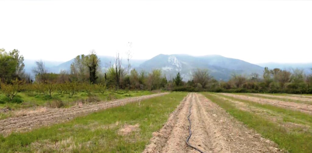 ΚΕΔΕ: Ζήτησε πάγωμα του ΠΔ για την οριοθέτηση οικισμών κάτω των 2