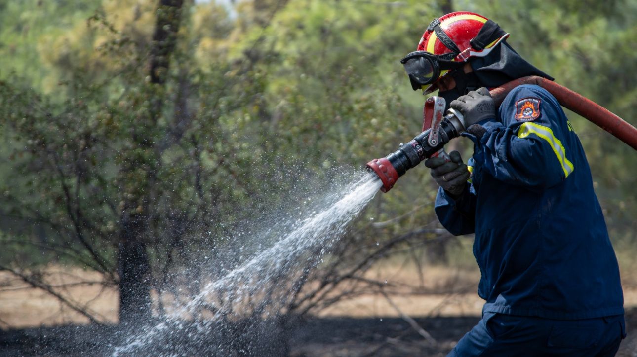 Συσκέψεις της Πολιτικής Προστασίας σε όλη τη χώρα για την αντιπυρική περίοδο – Αν. Μακεδονία και Θράκη, Ιόνιο και Β