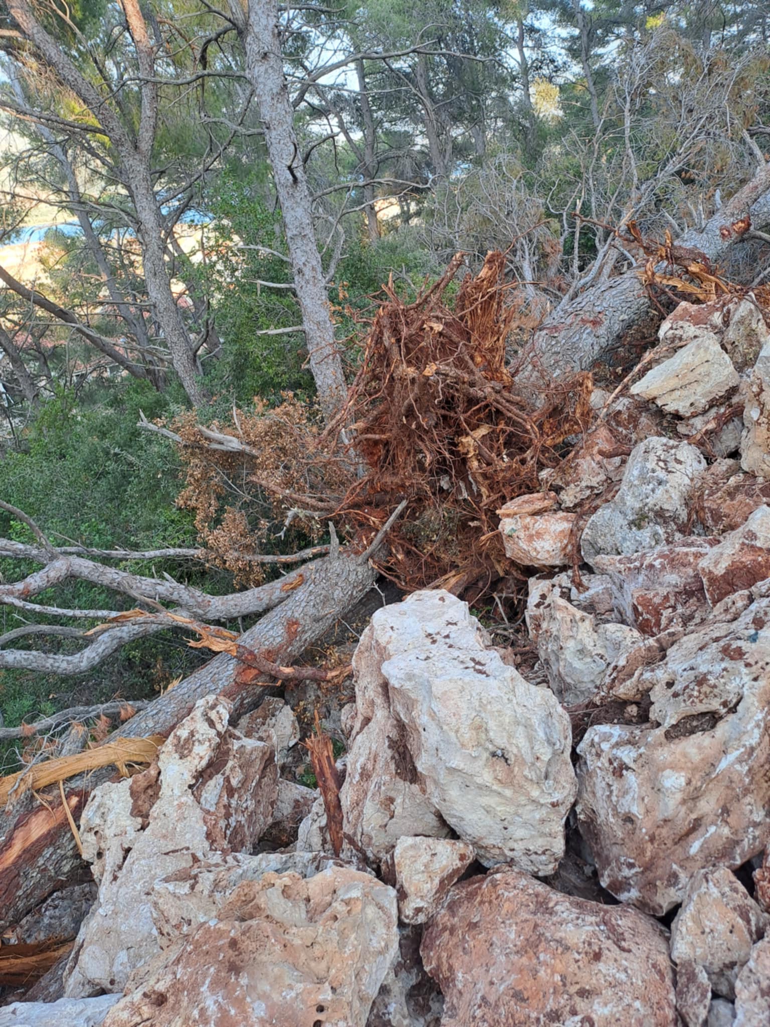 Φάρος Αργοστολίου: Ανάπτυξη ή καταστροφή;