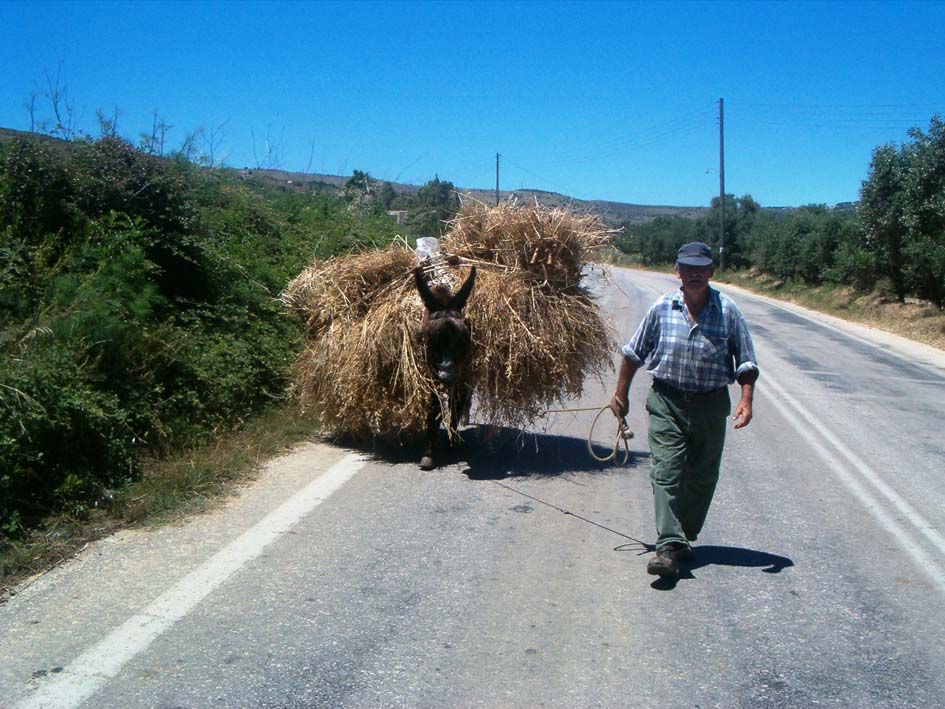 Ήρθε καιρός του θερισμού