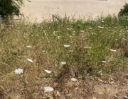 Ακαθάριστο!!!