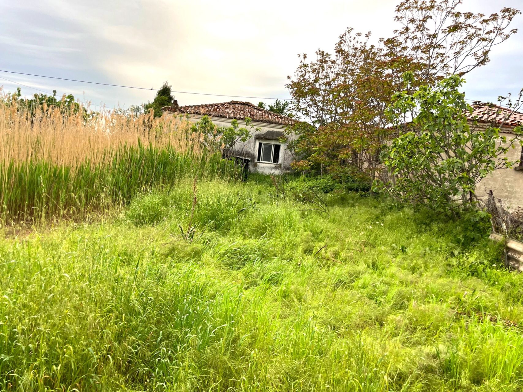 Έλεγχοι σε ακαθάριστα οικόπεδα από την Πυροσβεστική: 3