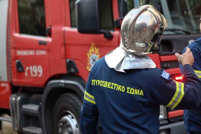 Φωτιά ξέσπασε χθες στην Κρανιά πλησίον του καταφυγίου DORIS ARK