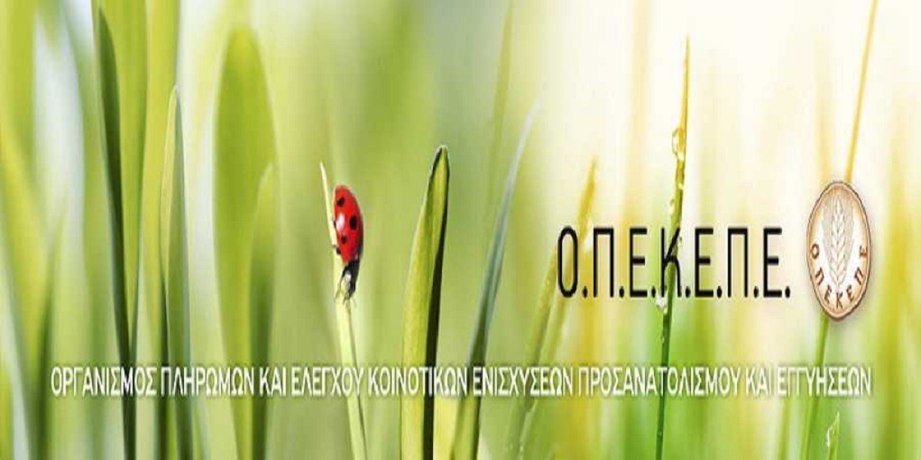 Κ