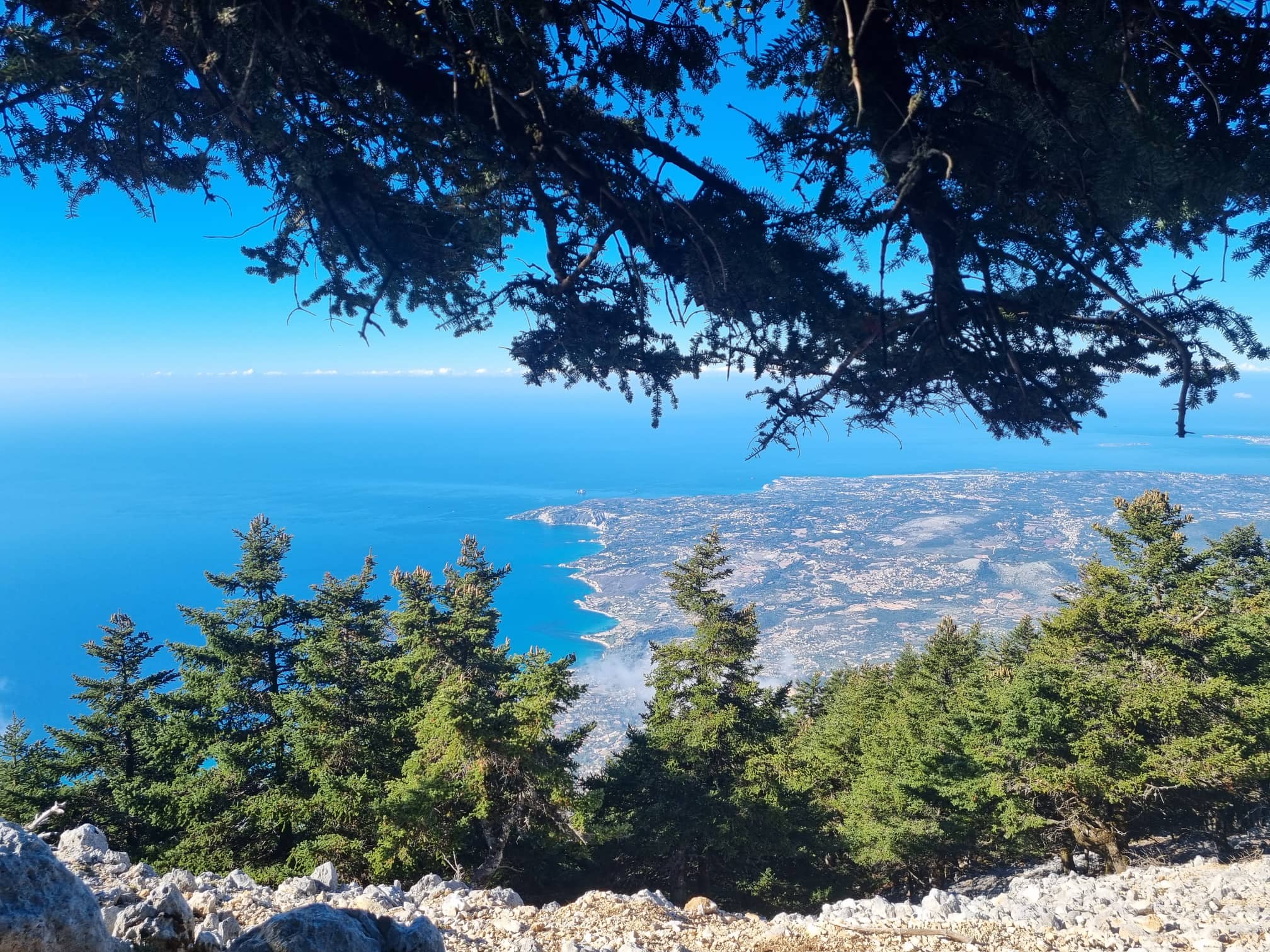 Παράταση Απαγόρευσης Κυκλοφορίας στον Εθνικό Δρυμό Αίνου λόγω υψηλού κινδύνου πυρκαγιάς