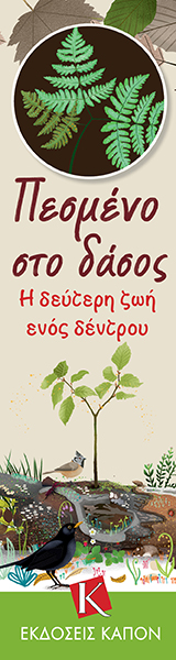 kapon-2025_5_BOOK_PRESS_PESMENO-2025-05-30