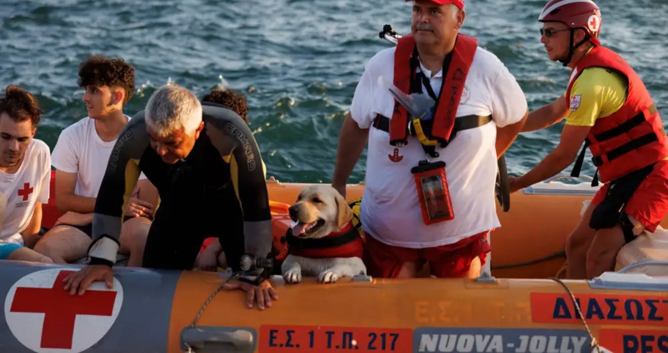 Σκύλοι διασώστες εκπαιδεύονται για να επιχειρούν στο πλευρό των Ναυαγοσωστών (δείτε βίντεο)