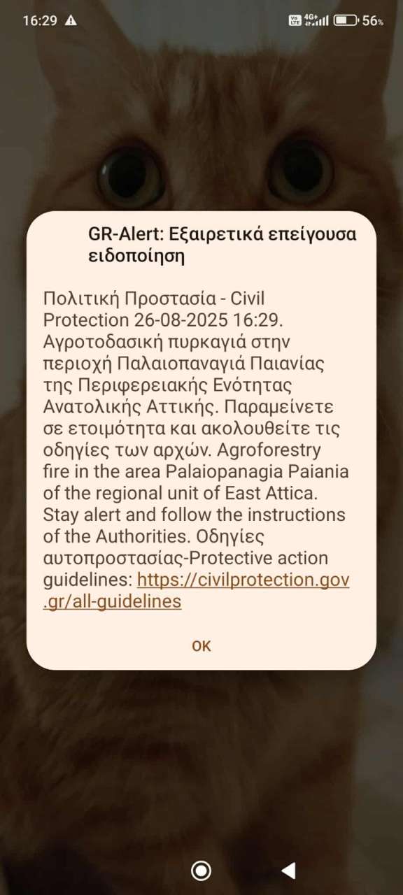 Φωτιά τώρα: 112 για ετοιμότητα στην Παλαιοπαναγιά Παιανίας