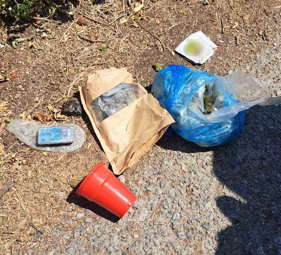 Καλαμάτα: Συνελήφθησαν δυο 25χρονοι για διακίνηση ναρκωτικών και κατοχή όπλων