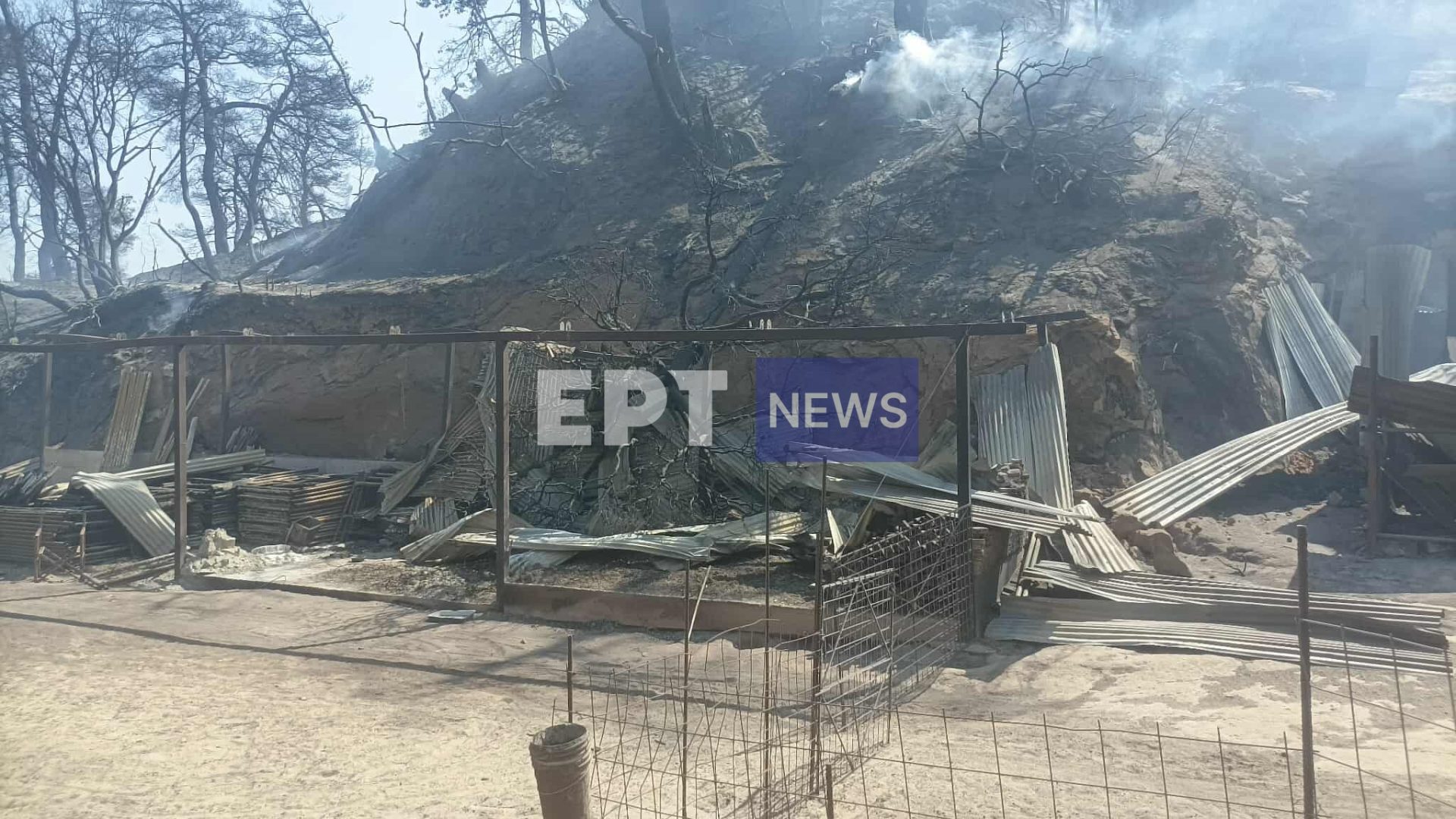 Ολοκληρωτική καταστροφή κτηνοτροφικής μονάδας στο Χελιδόνι Ηλείας – Στο νοσοκομείο ο ιδιοκτήτης