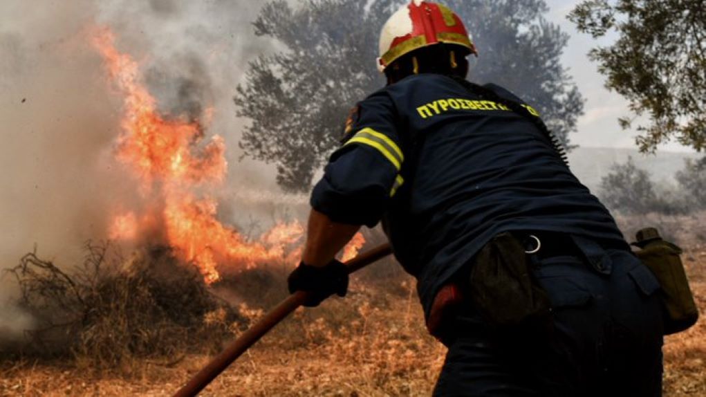 Οριοθετήθηκε η φωτιά στον Αμμότοπο Άρτας