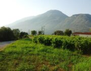 Στα ίχνη του Ιωάννη Φωκά: ένα μυστήριο γυρεύει την λύση του