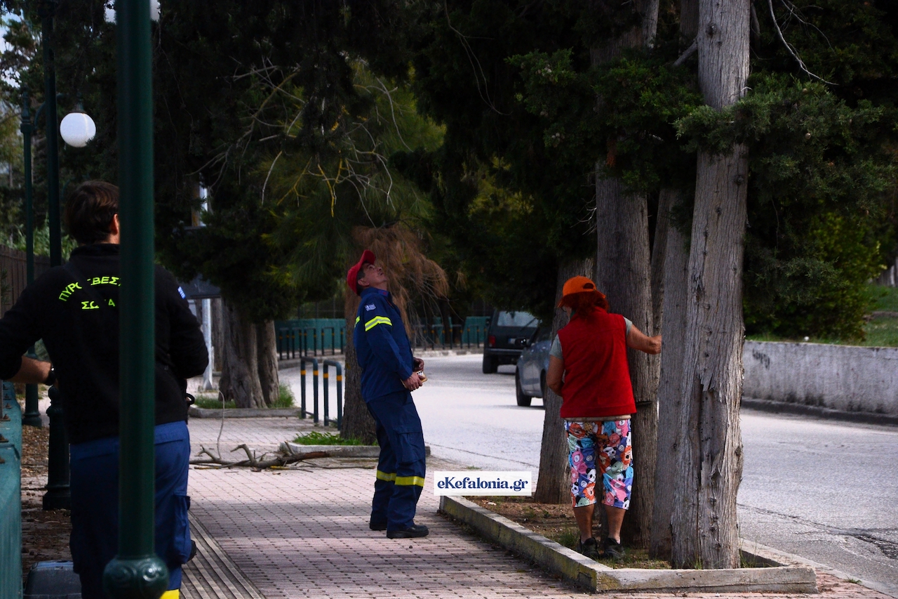 Ασυνήθιστη επιχείρηση διάσωσης στο Αργοστόλι [εικόνες +βίντεο]
