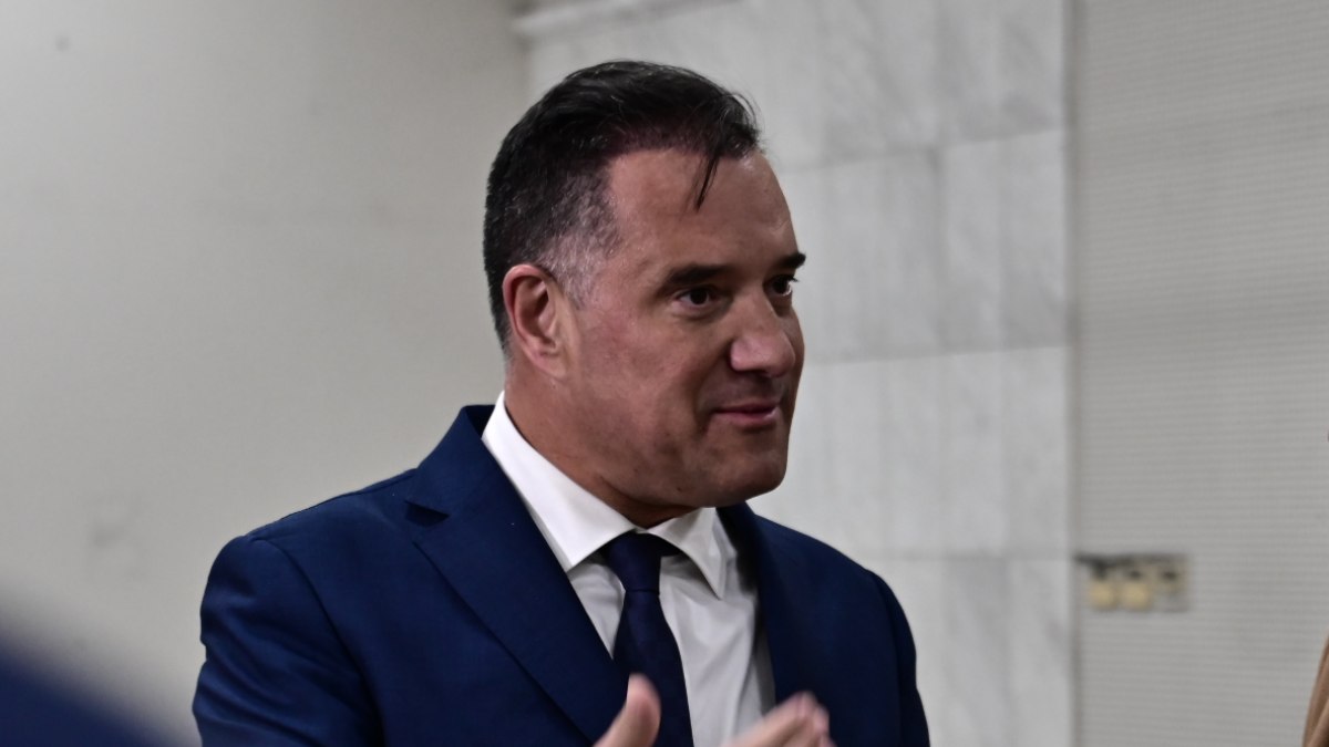 Γεωργιάδης: Δεν εκφράζει τη Νέα Δημοκρατία η άποψη που εξέφρασε ο κ