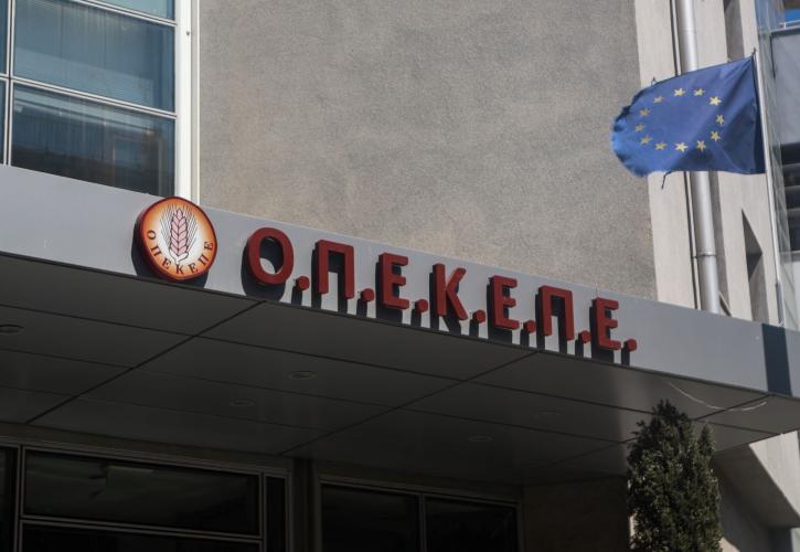 Σκάνδαλο ΟΠΕΚΕΠΕ: Έλεγχοι και στην Κεφαλονιά από την ΑΑΔΕ
