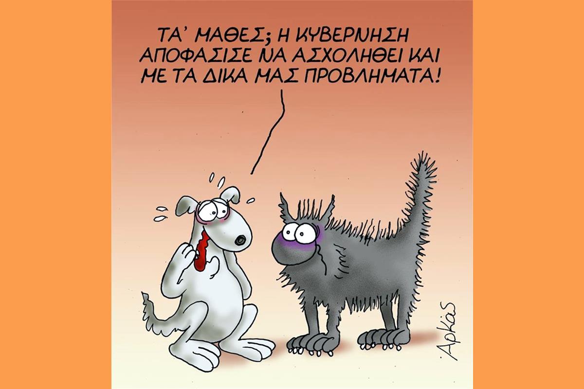 Στα κάγκελα 4 Κοινοτάρχες Ουδείς υπεύθυνος για τα άλογα του Ελειού!