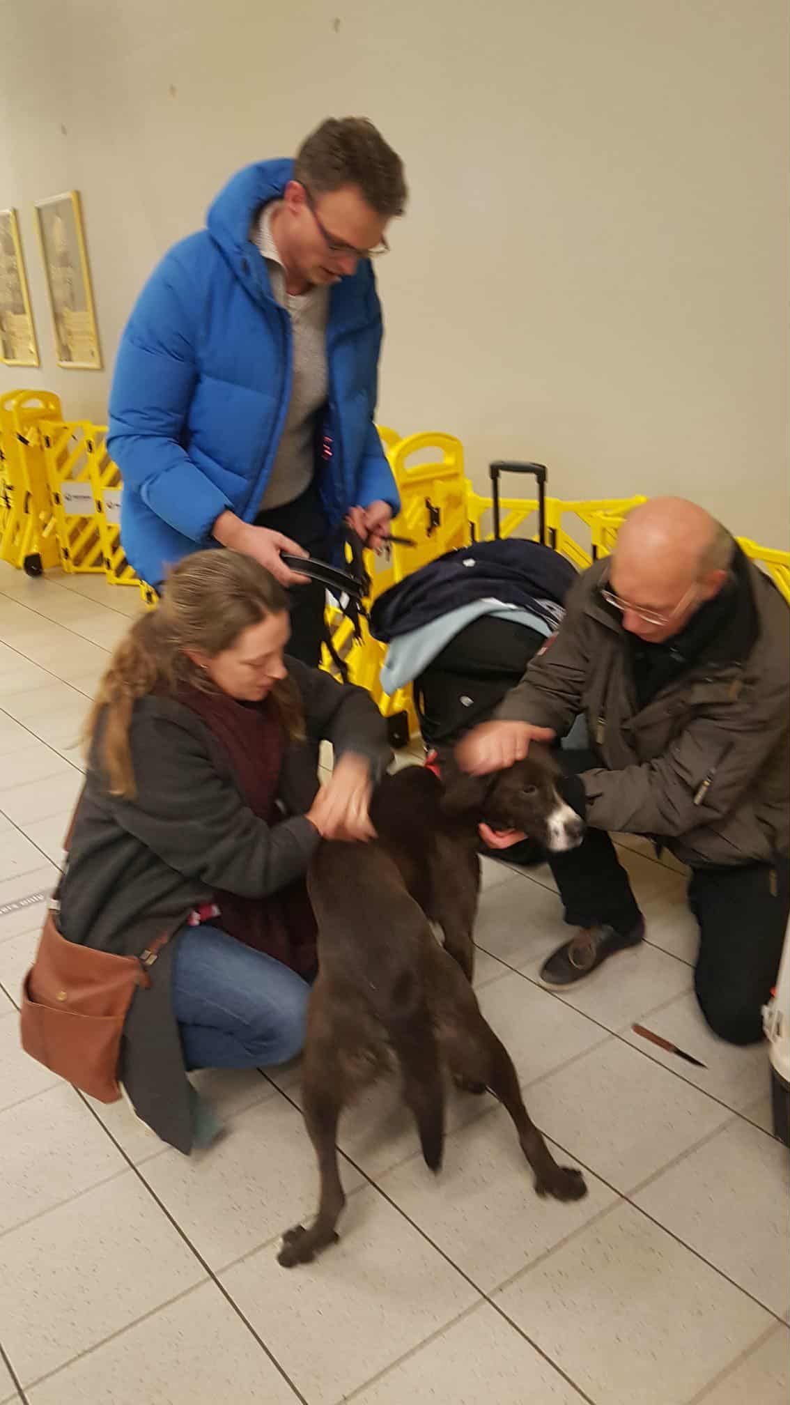 Δήμος Σάμης: Ο Bobos υιοθετήθηκε