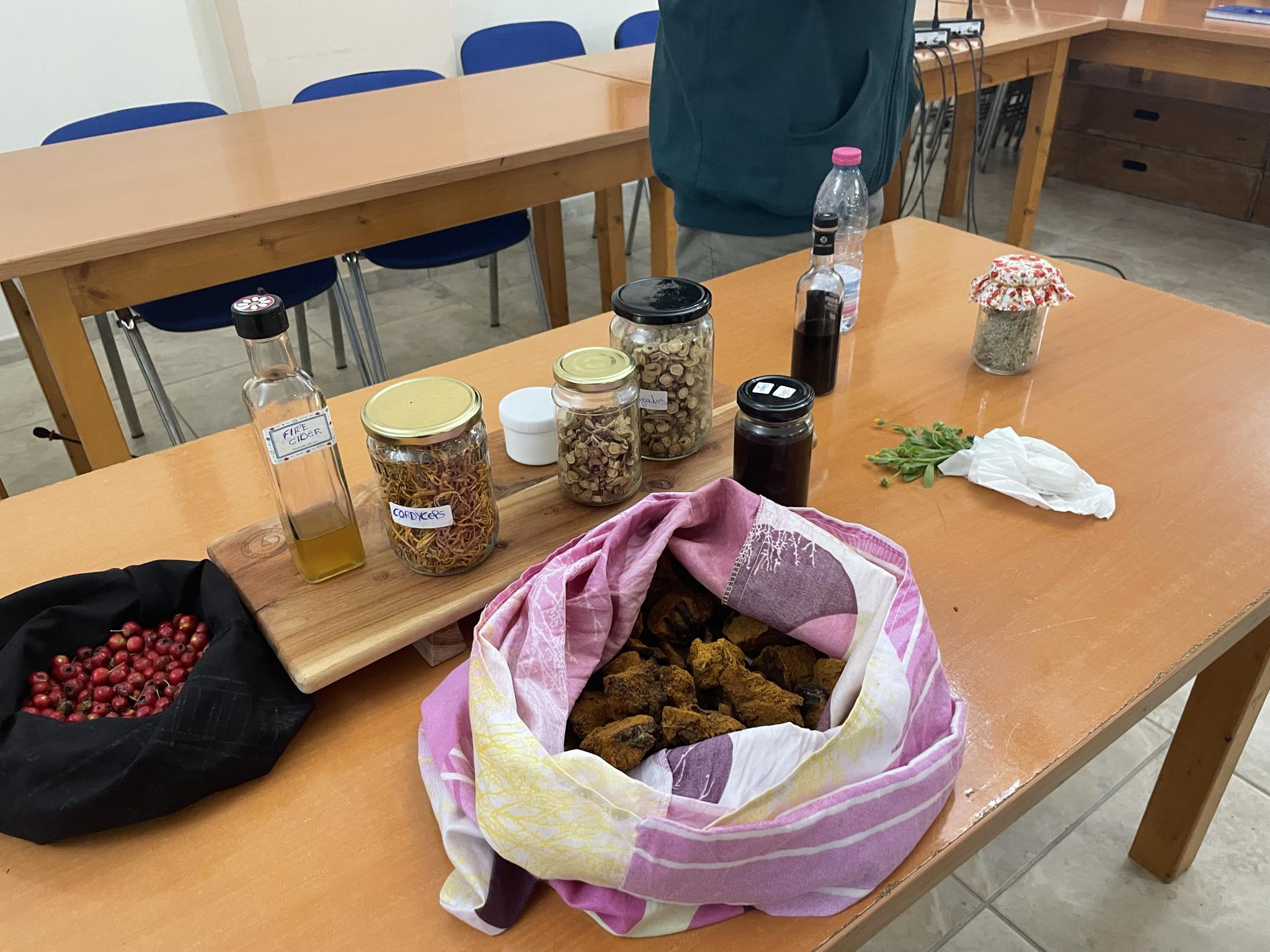 Ληξούρι: Επιτυχημένη εκδήλωση για τα βότανα και τις θεραπευτικές τους ιδιότητες [εικόνες]
