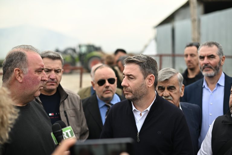 Ν. Ανδρουλάκης: Η «γαλάζια» συμμορία κατάκλεψε τον ΟΠΕΚΕΠΕ – Με ευθύνη Μητσοτάκη χρωστούν στους κτηνοτρόφους ένα δισ