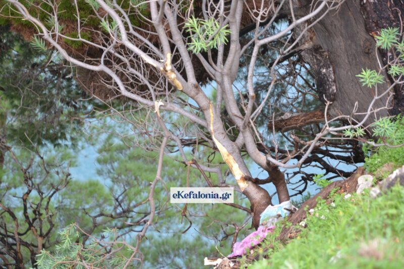 Τραγική κατάληξη: Νεκρός ο Στέφανος Μεσσάρης –Ανασύρθηκε από το αυτοκίνητό του [εικόνες]