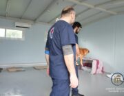 Ανακοίνωση & Ευχαριστήριο Μήνυμα για το Επιτυχημένο Πρόγραμμα Στειρώσεων Αδέσποτων Ζώων στο Ληξούρι