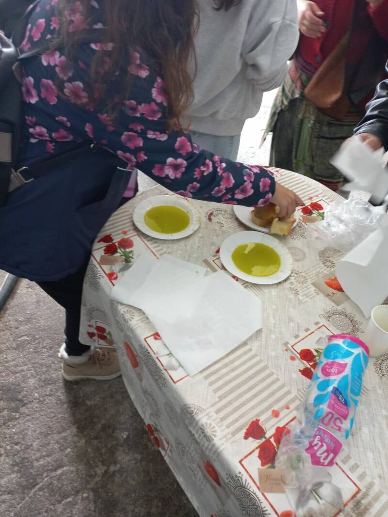 Εκπαιδευτική δράση για την ελιά και το ελαιόλαδο στον Δήμο Σάμης [εικόνες]
