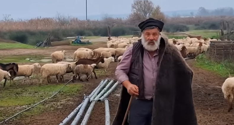 Κατέρρευσε ο κτηνοτρόφος που αποχαιρέτησε το κοπάδι του…